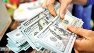 اتمام حجت فرزین با بازار ارز | دلار گران تر از  این قیمت نمی شود