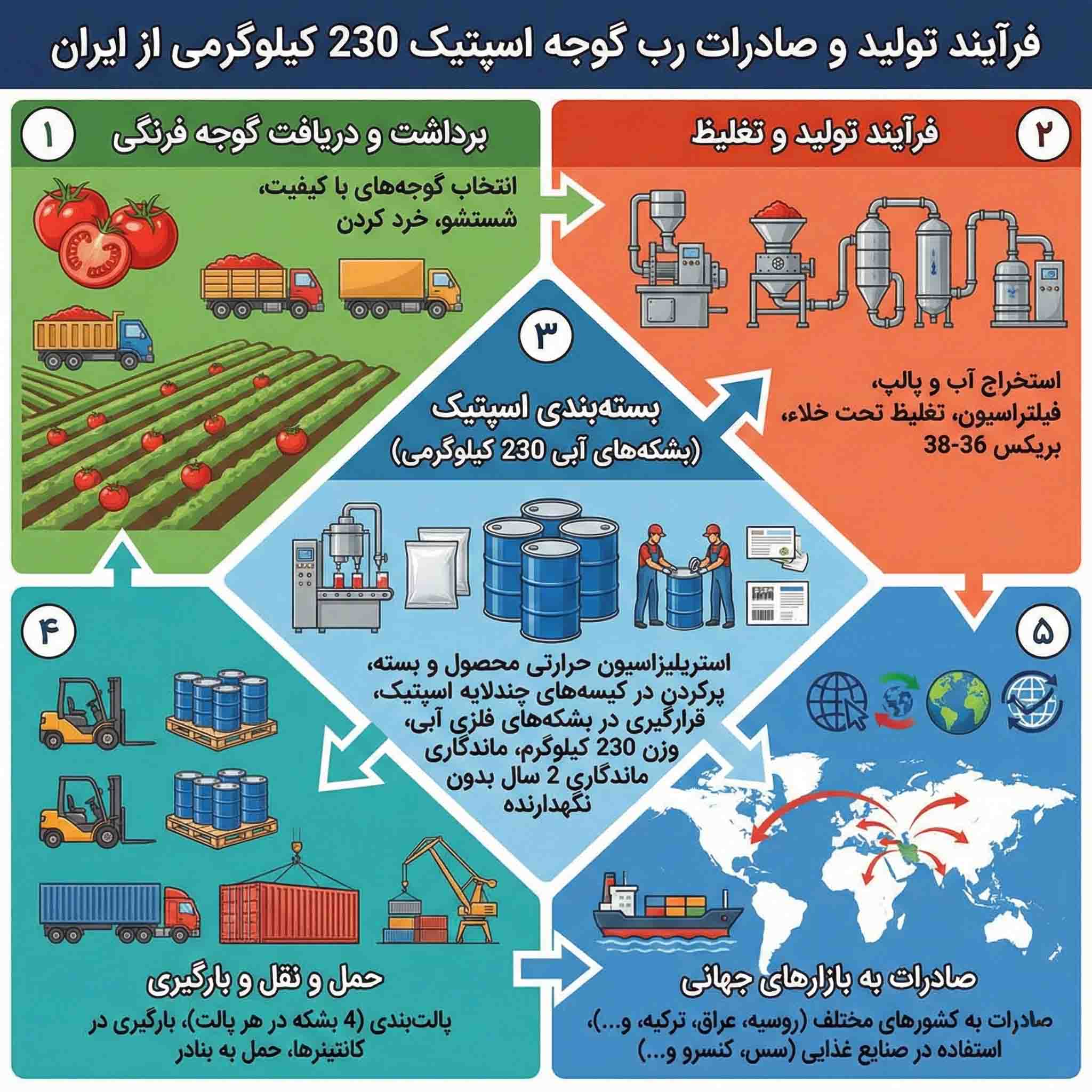 اینفوگرافیک فرآیند تولید و صادرات رب گوجه اسپتیک از کارخانه رویال صادرات رب گوجه