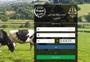 عرضه نهاده‌های دامی 8 برابر نیاز بازار