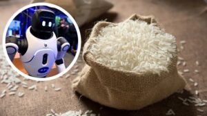 استفاده از برنج در ساخت روبات‌ها و تجهیزات مقاوم در برابر ضربه