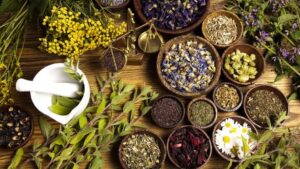 مصرف خودسرانه فرآورده‌های گیاهی خطرناک است 