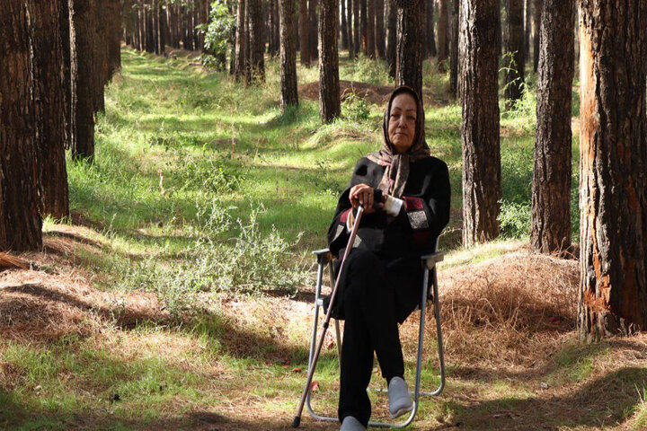 پرداختن به دغدغه اتحاد و محیط زیست؛ چگونه درختان شهر را نجات دادند؟