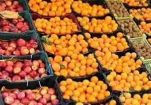 آغاز عرضه میوه شب عید از امروز در سراسر کشور