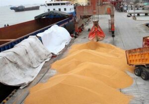 جهش تاریخی قیمت جهانی گندم و روغن در پی بحران خاورمیانه