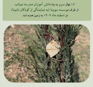 سوینا به یاد بچه‌های مدرسه میناب درخت سرو کاشت