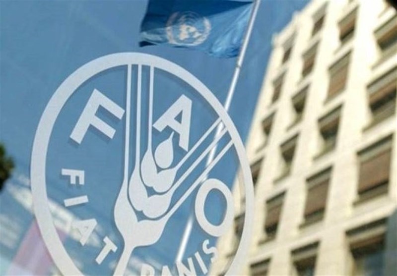 رشد 2.4 درصدی قیمت جهانی غذا در یک ماهه جنگ آمریکا علیه ایران