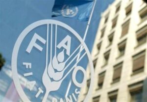 فائو جای سیاست‌بازی نیست