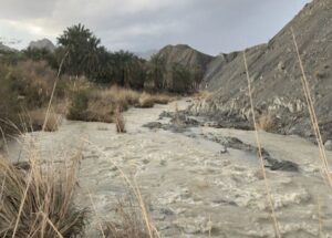 هشدار سازمان هواشناسی نسبت به بارش باران و وزش باد شدید در غالب نقاط کشور تا چهارشنبه آتی