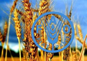بدون تنوع زیستی، تولید غذا با خطر جدی مواجه است