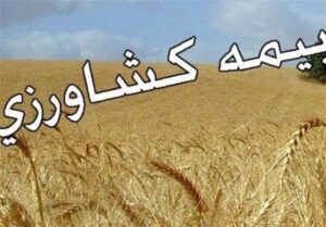 مهلت بیمه روستاییان با تخفیف 45 درصدی تمدید شد