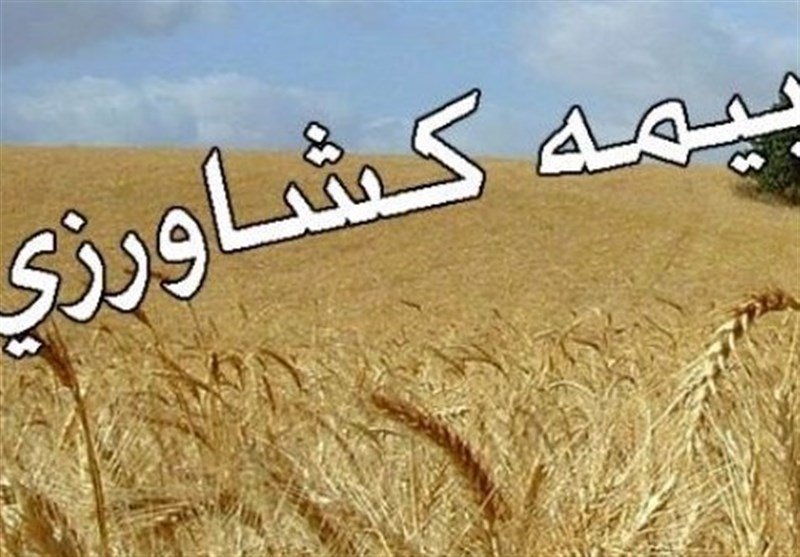 مهلت بیمه روستاییان با تخفیف 45 درصدی تمدید شد