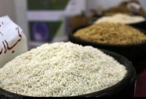 ایران در جایگاه ۶۴صادرات برنج در سال ۲۰۲۵؛ برنج صادراتی ایران غالبا ارقام محلی است