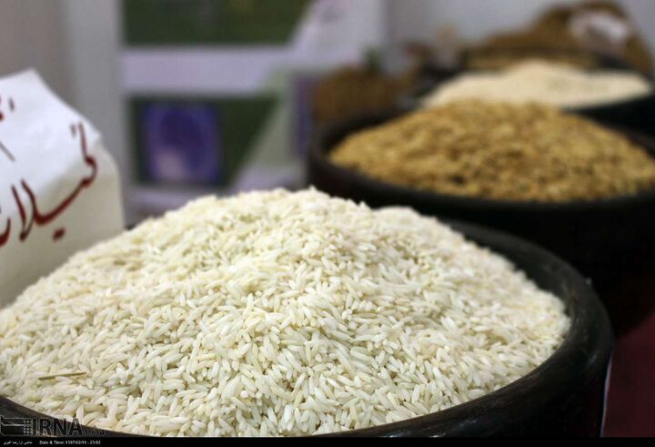 ایران در جایگاه ۶۴صادرات برنج در سال ۲۰۲۵؛ برنج صادراتی ایران غالبا ارقام محلی است