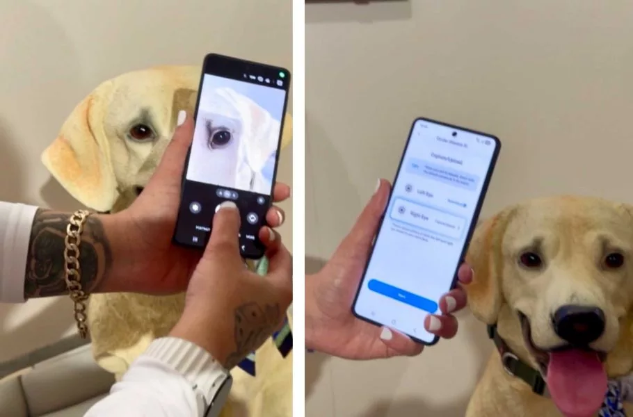 سامسونگ قابلیت Pet Care را معرفی کرد؛ تشخیص بیماری حیوان خانگی با یک عکس