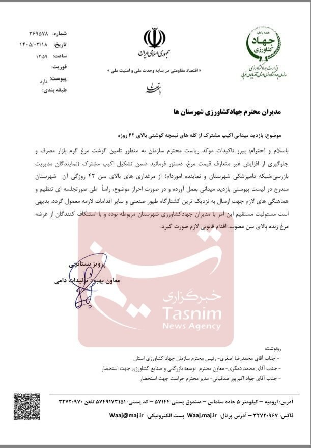 کشتار مرغ بعد از 42 روز ممنوع شد قیمت مرغ , بازار ,