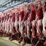 واردات گوشت به صورت قبض انباری؛ نظارت شرعی و بهداشتی تغییری نکرد