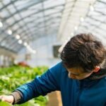 ببینید |65 درصد مهندسان کشاورزی بیکارند یا شغل تخصصی ندارند