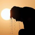موج گرمای بی‌سابقه ۳ میلیارد یورو خسارت روی دست اروپا گذاشت