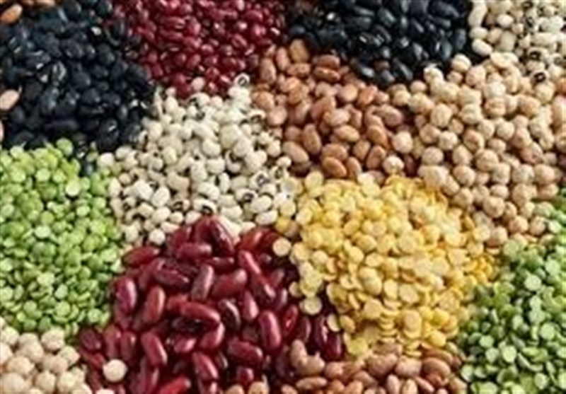 113درصد اختلاف قیمت لوبیا در بازار با وجود تخصیص ارز مبادله‌ای