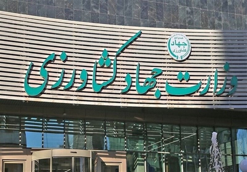 نوسانات قیمتی کالاهای اساسی پس از اصلاح ارزی، موقتی است